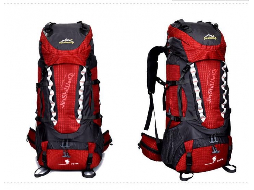 jinshiweiqi backpack